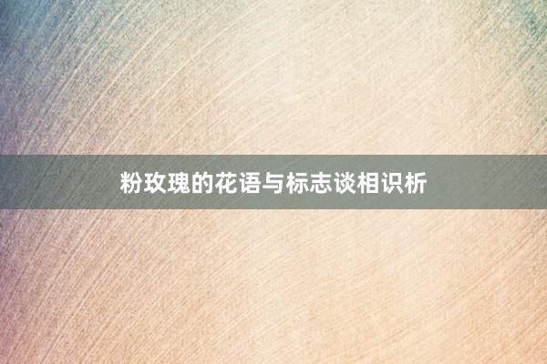 粉玫瑰的花语与标志谈相识析