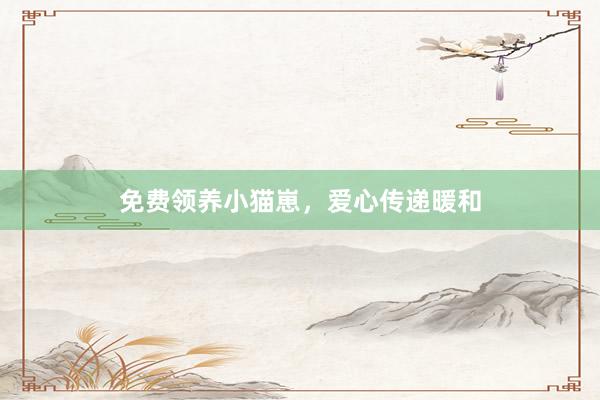 免费领养小猫崽,爱心传递暖和